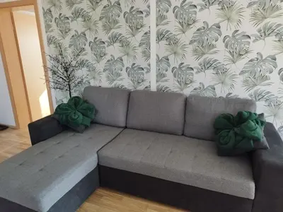 a gray couch in a living room with a wallpaper at Lazy Haven in Moravske Toplice