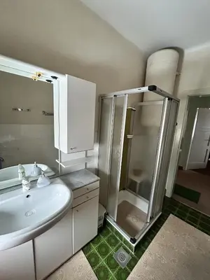 a bathroom with a white sink and a shower at Apartma Prisojnik in Kranjska Gora
