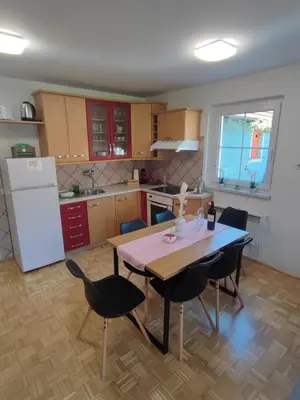 a kitchen with a table and chairs and a refrigerator at Apartment by MICHELLE - Terme Čatež House in Čatež ob Savi