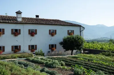 a white house with a garden in front of it at Majerija in Vipava