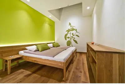 a bedroom with a bed with a green wall at Majerija in Vipava