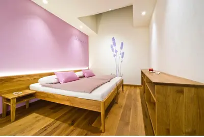 a bedroom with a bed and a purple wall at Majerija in Vipava