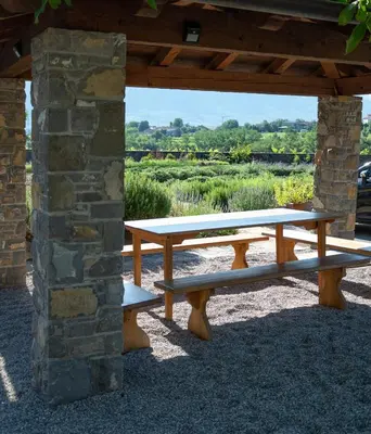 a picnic table under a pavilion with a view of a field at Majerija in Vipava