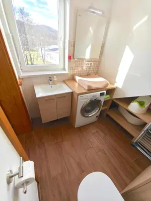 a small bathroom with a washing machine and a sink at Family Nest near Ljubljana with free parking in Dobrova