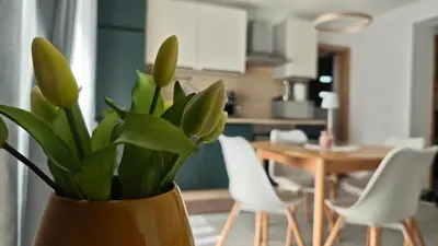 a vase with a plant in a living room at Apartma Mia Nadiža in Kobarid