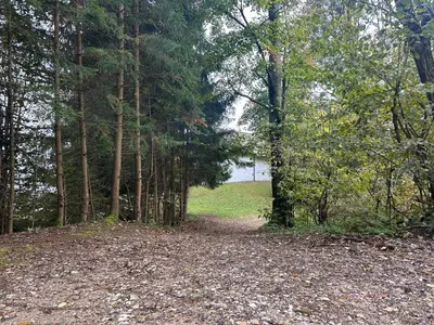 a path in the woods with trees and a body of water at Apartments Barbra - Robinson life in Slovenj Gradec