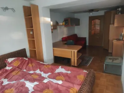 a living room with a bed and a table in a room at House IZI - parking, garden, 8 min ride to center in Maribor