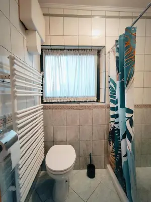 a small bathroom with a toilet and a window at House IZI - parking, garden, 8 min ride to center in Maribor