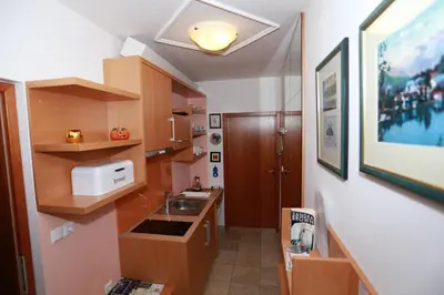 a small kitchen with wooden cabinets and a sink at Vila Krivec in Bled