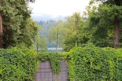 a fence covered in green ivy with trees in the background at Vila Krivec in Bled