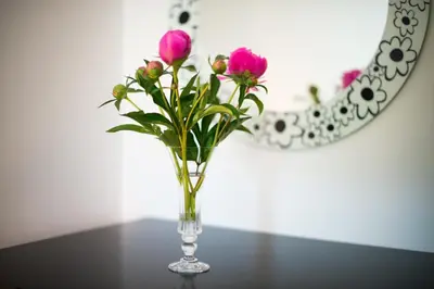 a vase with pink flowers sitting on a table at Apartment Ani in Bled
