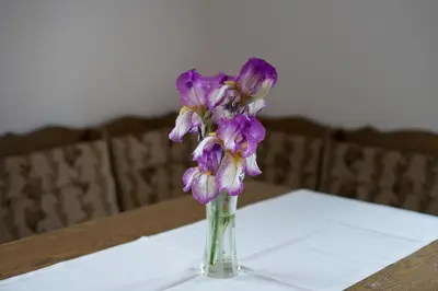 a vase of purple flowers sitting on a table at Apartment Ani in Bled