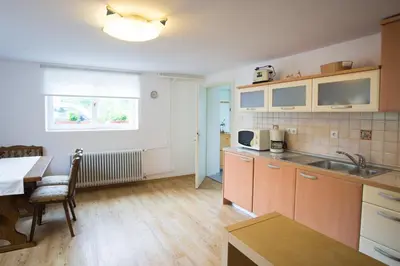 a kitchen with a sink and a table and a counter top at Apartment Ani in Bled