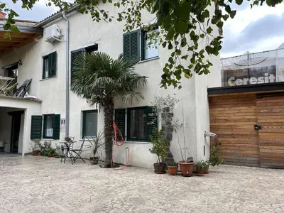 a house with a palm tree in front of it at Apartment Rozalka Vipava valley in Podnanos