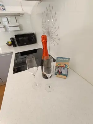 a bottle of wine and two glasses on a kitchen counter at Two-bedroom city apartment in Ljubljana