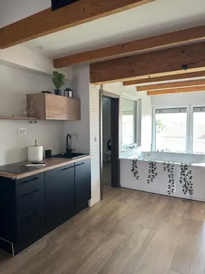 a kitchen with black cabinets and wooden floors at Apartments Harmony Joe in Radenci