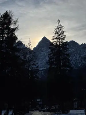 a group of trees in front of a mountain at Chalet Gozd Martuljek in Gozd Martuljek