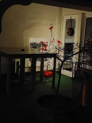 a table with a christmas tree in a room at Hostel - Rooms Kaj & Kaja in Slivnica pri Mariboru