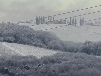 a view of a field and a hill with trees at Apartma Minka in Miklavž pri Ormožu