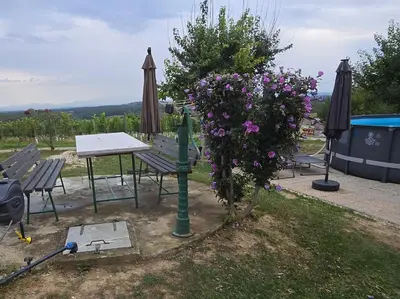 a picnic table and a bush with flowers on it at Apartma Minka in Miklavž pri Ormožu