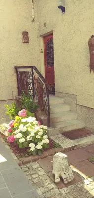a house with a door and flowers in front of it at Dom AteLJe in Ljubljana