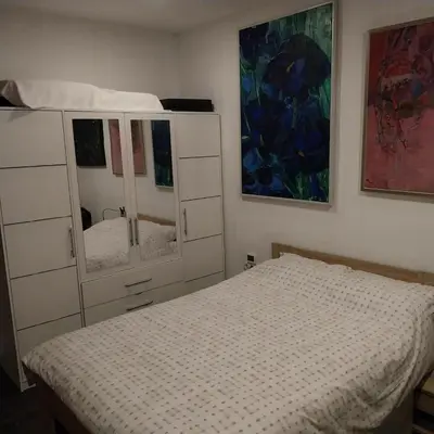 a bedroom with a bed and a dresser with mirrors at Dom AteLJe in Ljubljana