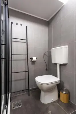 a bathroom with a toilet and a shower at Celje City Stay in Celje