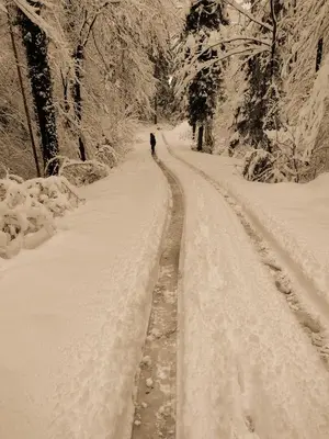 a person walking down a snow covered road at Holiday apartement Sentjur in Šentjur