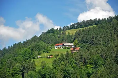 a house on a hill with horses in a field at Apartments MM in Muta