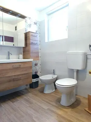 a bathroom with a toilet and a sink at Apartma Vodrice in Slappe dʼIdria
