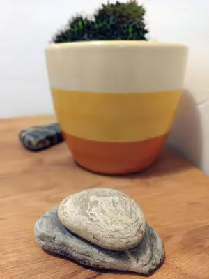 a rock stopper on a wooden table with a plant at Apartma Vodrice in Slappe dʼIdria