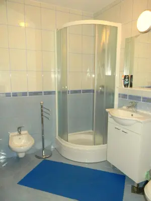 a bathroom with a shower and a sink and a toilet at Tourist farm Kolar in Ljubno