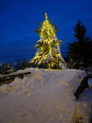 a christmas tree is lit up in the snow at apartma Pohorc - Praprot in Pohorje
