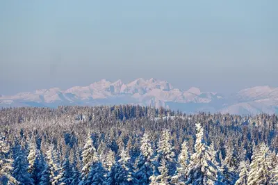 a snow covered forest with snow covered trees and mountains at Hotel Natura in Zreče