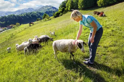 a young girl petting a sheep in a field at Farm Stay Pirc - Hayloft Apartment in Laško