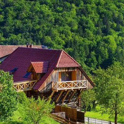 Farm Stay Pirc - Hayloft Apartment