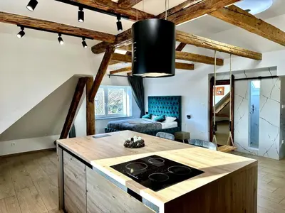 a kitchen with a stove top oven in a room at City Central Loft with Parking in Maribor