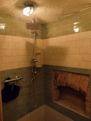 a shower in a bathroom with a fireplace at Holidayapartement Sentjur 2 pers in Šentjur