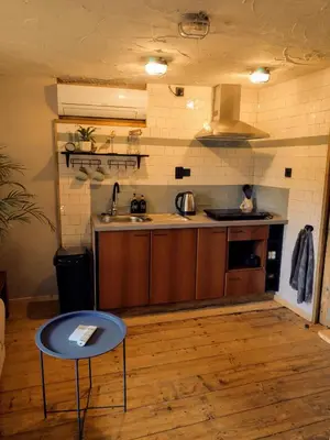a kitchen with a sink and a table in a room at Holidayapartement Sentjur 2 pers in Šentjur