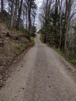 a dirt road with trees on either side at Holidayapartement Sentjur 2 pers in Šentjur