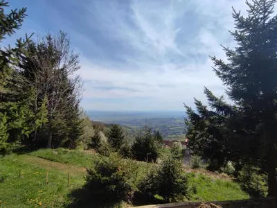 a view of a hill with trees on it at Apartma Pohorc - Macesen in Pohorje