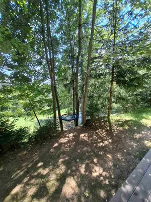 a park with a bench in the shade of trees at Apartma Pohorc - Macesen in Pohorje