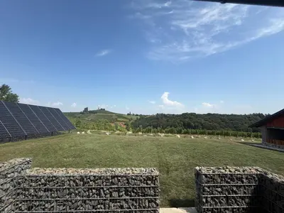 a field with a herd of sheep and solar panels at Apartments LESKOVAR in Ormoz