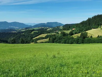 a field of green grass with mountains in the background at Authentic Pohorje house with riverside outdoor sauna in Oplotnica