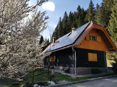 a house with a metal roof and a tree at Authentic Pohorje house with riverside outdoor sauna in Oplotnica