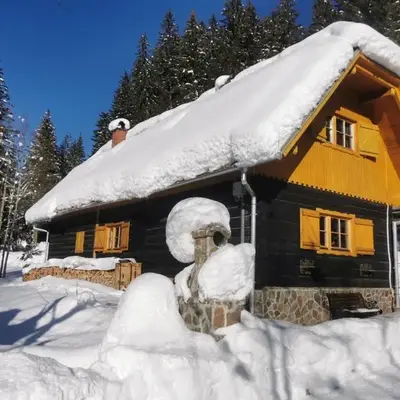 Authentic Pohorje house with riverside outdoor sauna