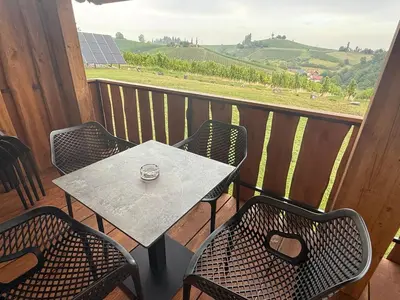 a table and chairs on a balcony with a view of a field at Apartma EVA in Ormoz