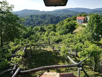 a view of a house on a hill with trees at Holiday Home Carovina in Paradiž