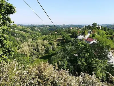 a house on top of a hill with trees at Holiday Home Carovina in Paradiž