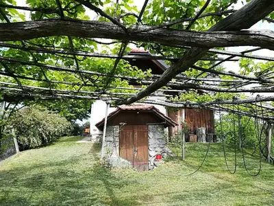 a small house in the grass with a tree at Holiday Home Carovina in Paradiž